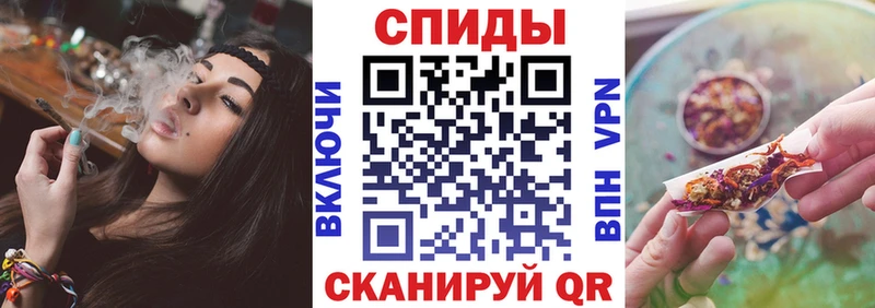 БУТИРАТ BDO  OMG как войти  Грайворон 