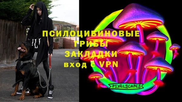 a pvp Богородицк