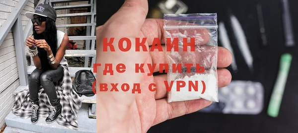 гашик Инта