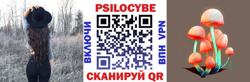 OMG вход  Грайворон  Псилоцибиновые грибы Psilocybe 